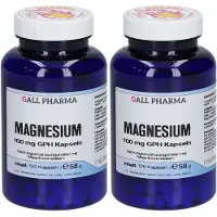 GALL PHARMA Magnesium 100 mg GPH Kapseln 2x 2x120 St