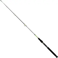 Daiwa Sensor Boat Af Bootsrute Schwarz 1.30 m / 60-120 g Schwarz 1.30 m