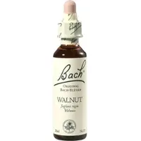 Nelsons Bach-Blüte Walnut 20 ML