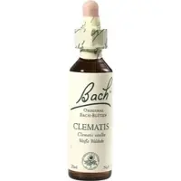 Nelsons Bach-Blüte Clematis 20 ML