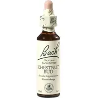 Nelsons Bach-Blüte Chestnut Bud 20 ML