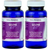 GALL PHARMA Gelenk-Fit GPH Kapseln 2x 2x90 St