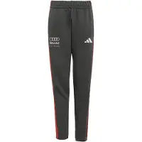 Adidas Audi Formel 1 Team DNA Hose Kinder KE6778 - utility black 176