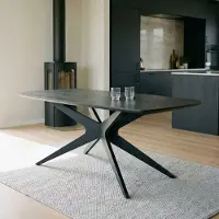 Idimex Esstisch TAVO dänisch oval 180 x 90 cm, Schwarz- Esszimmertisch mit stabiler 30 mm MDF-Tischplatte, modernem Spidergestell aus Metall, ideal für Essbereich und Küche, pflegeleicht und strapazierfähig.