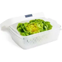 Rotho Frischhaltedose mit Deckel Fresh 6,4L - Kühlschrank Gemüse Behälter mit Siebkorb 31,4 x 23,9 x 12,0 cm - Aufbewahrungsbox für Obst und Gemüse