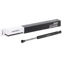 RIDEX Gasfeder Heckscheibe 2454G0015 beidseitig für CITROËN C5 II Break (RE) 313mm Stahl