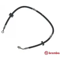 Brembo Bremsschlauch ESSENTIAL LINE T 79 009