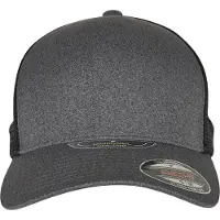 Flexfit Flex Cap "Unisex UNIPANEL CAP"