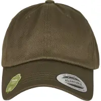 Flexfit Flex Cap "Unisex Low Profile Organic Cotton Cap"