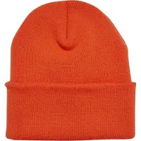 Flexfit Beanie "YP Classics Thinsulate Cuffed Beanie" 1 Stk.