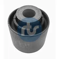 RTS Lagerung, Lenker 017-00450