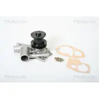 TRISCAN Wasserpumpe 8600 25080