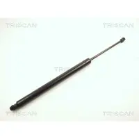 TRISCAN Gasfeder, Koffer-/Laderaum 8710 10200