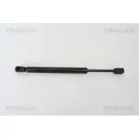 TRISCAN Gasfeder, Koffer-/Laderaum 8710 29260