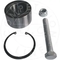 AIC Radlagersatz Original Quality 55869
