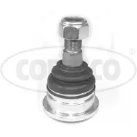 CORTECO Traggelenk Vorne Unten Vorne Rechts Vorne Links für NISSAN PICK UP (D21) 49395655