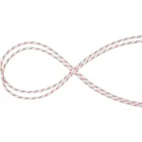 Mammut 10.0 Performance Static Seil