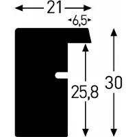 Nielsen Apollo silber 24x30cm / 18x24 (FSC2)