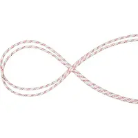 Mammut 10.0 Performance Static Seil