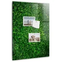Tulup Magnettafel Aus Glas Blätter Der Zaunpflanze 40x60 cm Whiteboard Magnetisch Glas Weißer Marker Magnettafel Modern Glas