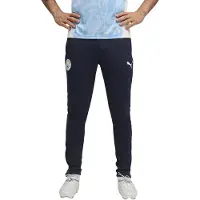 Puma Manchester City Fc 25/26 Training Hosen