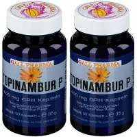 GALL PHARMA Topinambur P 400 mg GPH Kapseln 2x 2x60 St
