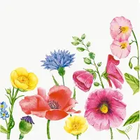 Duni Bio-Dunisoft-Serv. 40x40cm Flowy Meadow