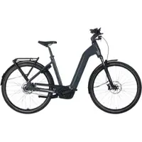 Flyer G1 Gotour 5.43 CX 750 Wh Damen grau 2026 - 29" - 48 cm