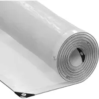 vidaXL Transparente Plane mit Ösen 5x6 m Polyethylen