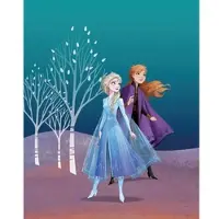 Disney Poster Die Eiskönigin Anna & Elsa Blau und Lila 40 x 50 cm 610153