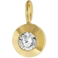 Trendor 21572 Damen Schmuck-Anhänger Gold 333/8K mit Zirkonia