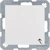 Berker 41248989, Typ F, DIN-Schiene, Weiß, Thermoplast, IP44, 250 V