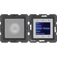 Berker S.1/B.X RADIO DAB+ ANT MATT (29801606 RADIO SET)