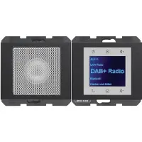 Berker 29807006 Radio Touch mit LS DAB+ K.x ant