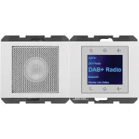 Berker 30807009 Radio mit Lautspr. DAB+, Bt.,K.x pw. gl.