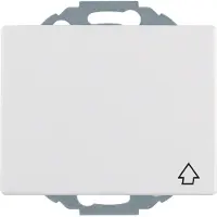 Berker 47477109, Typ F, DIN-Schiene, Weiß, Thermoplast, IP20, 250 V