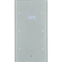 Berker 75642034 Glas-Sensor 2fach