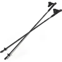 Silva Carbon Poles Silber 115 cm