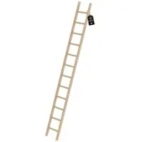 Proregal Sprossen-Anlegeleiter Holz Ohne Traverse 12 Sprossen