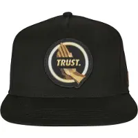 Cayler & Sons Flex Cap "Herren Trust in Gold Cap"