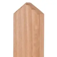 Meingartenversand.de Douglasie Zaunlatten Luzern 3 x 5 x 150 cm – Zaunlatte aus Douglasie, naturbelassen – spitze Zaunbretter – Holzlatte für Zäune