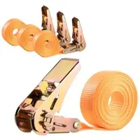 AGT 4er-Set 4-m-Spanngurte, Ratschen, 800 kg, DIN EN 12195-2-zertifiziert