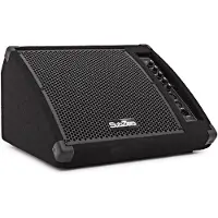 SubZero Aktiver 10"-Bodenmonitor 200 W
