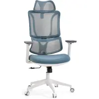 MyBuero Profi Bürostuhl ERGOMY W Ergonomischer Schreibtischstuhl mit Armlehnen (höhenverstellbar) Stoff / Netzstoff Blau Drehstuhl für Büro, Zuhause
