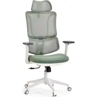 MyBuero Profi Bürostuhl ERGOMY W Ergonomischer Schreibtischstuhl mit Armlehnen (höhenverstellbar) Stoff / Netzstoff Grün Drehstuhl für Büro, Zuhause