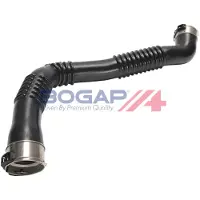 BOGAP Ladeluftschlauch Premium C1711193