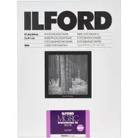 Ilford Mg Rc Dl 1m 18x24 Cm 100 Papierblätter