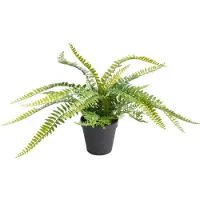 Botanic-Haus Künstliche Zimmerpflanze "Farn mit 18 Blättern"