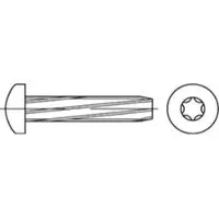 F. REYHER Nchfg. GmbH & Co. KG Gewindeschneidschraube DIN 7516 Linsenkopf m.Innensechsrund AE M 4 x 16 -T20 Stahl galvanisch ver...