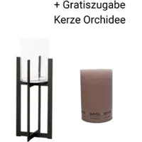 Wmg Windlicht Bolton Höhe 120 cm + Gratiszugabe Kerze Orchidee